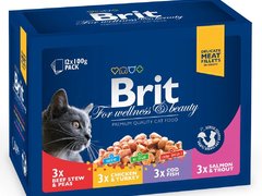 Hrana umeda pentru pisici brit premium cat plic